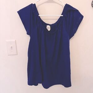 Blue Anthropologie flowy top